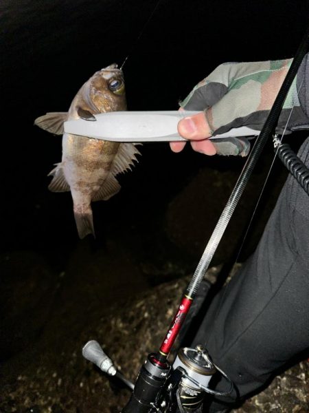 強風ライトゲーム