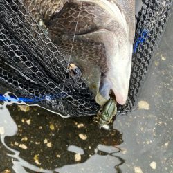 日中から暖かく