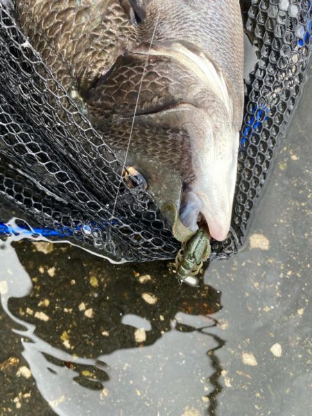 日中から暖かく