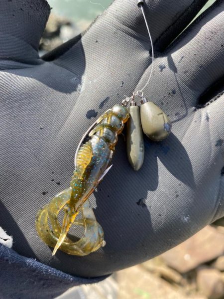 春なのに冬のようなパターンのチニング