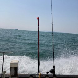 メバル&ガシラ便