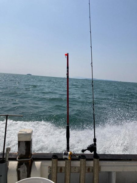 メバル&ガシラ便