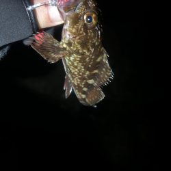 予報とちがう、、、