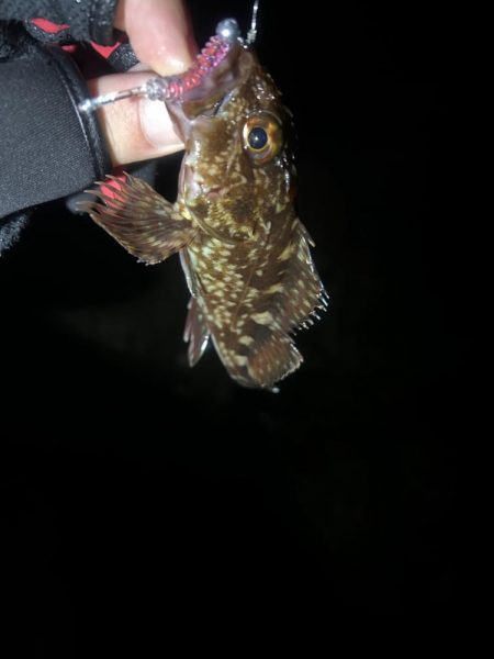 予報とちがう、、、