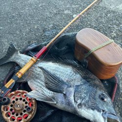 ヘチってきました