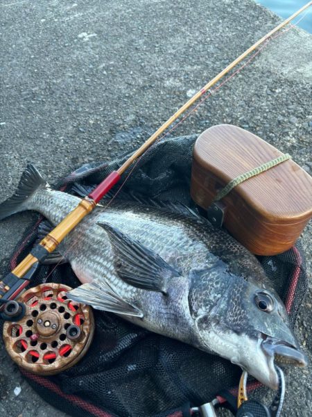 ヘチってきました