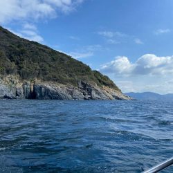 チヌに好かれてます