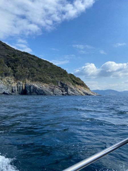 チヌに好かれてます