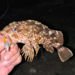 本日の沖波止は?