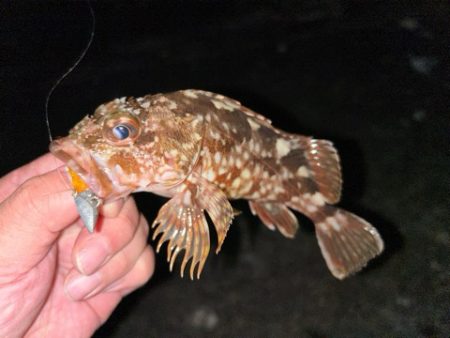 本日の沖波止は？