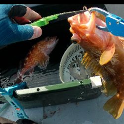 粘ってマダイゲット！一つテンヤ