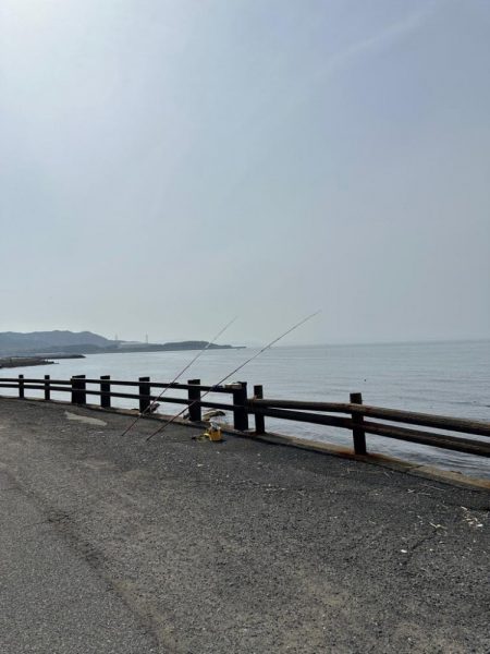 戻りカレイ(花見カレイ)