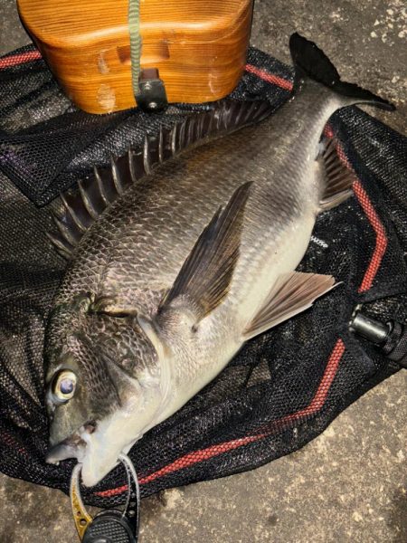 ヘチってきました