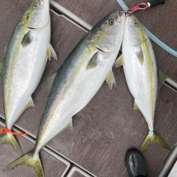 丹後沖ジギング