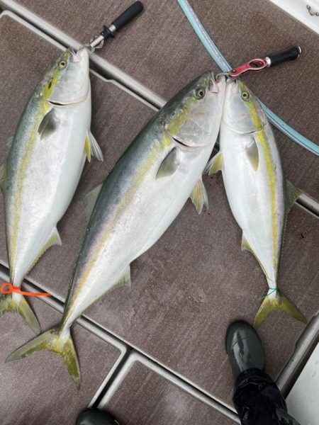 丹後沖ジギング