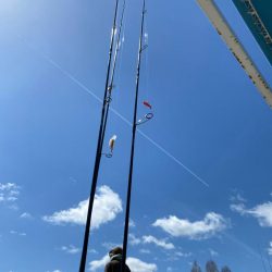 超久々の晴れの日釣行