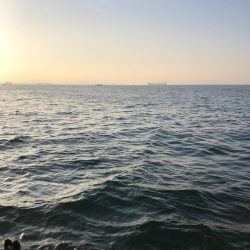 ハマチキャスティング