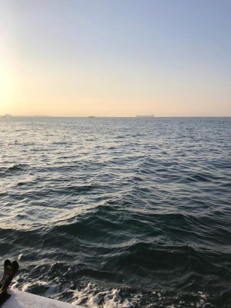 ハマチキャスティング