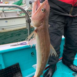 渋い中なんとかボウズのがれ
