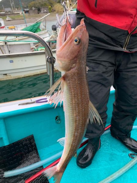渋い中なんとかボウズのがれ