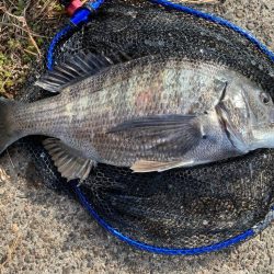 今日も今日とてチニング