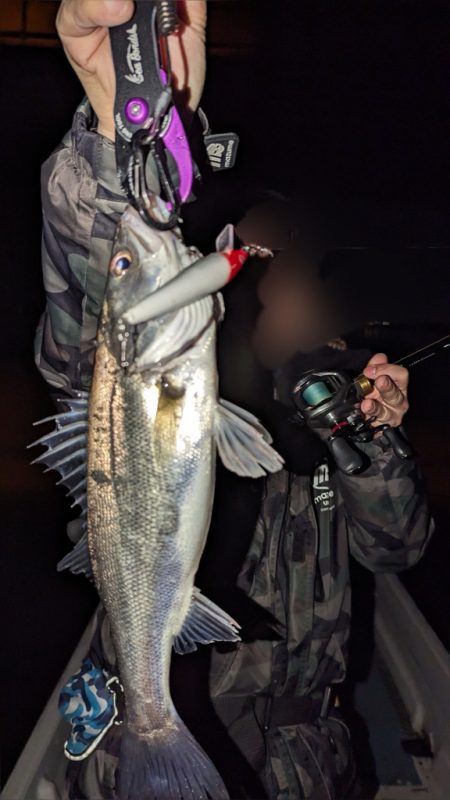 ボートシーバスふ