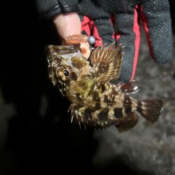 久しぶりの集合