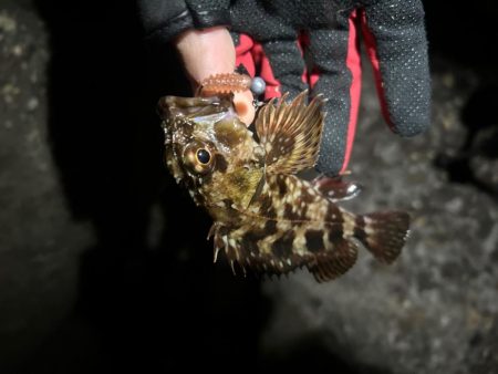 久しぶりの集合