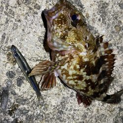 爆風ライトゲーム