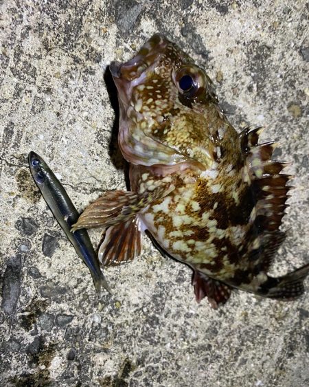 爆風ライトゲーム