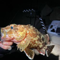 アジポイント探し