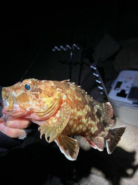 アジポイント探し