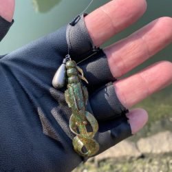 ピーカンベタ凪の沼状態