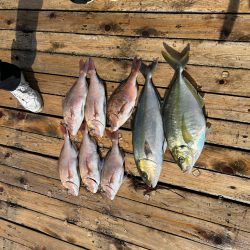 海上釣り堀 辨屋