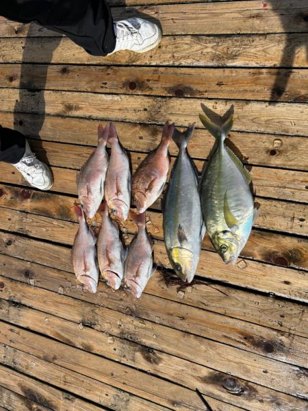 海上釣り堀 辨屋