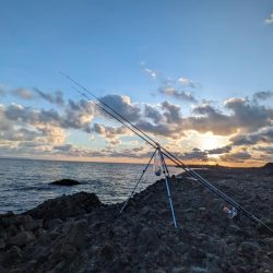 兜千畳敷でカレイ大漁！！ホッケも上がる！！