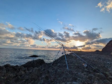 兜千畳敷でカレイ大漁！！ホッケも上がる！！