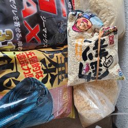 和歌山市江（吉丸渡船）でグレ釣り