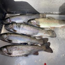 釣食浪漫 ～風は強いが活性高し！～