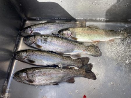 釣食浪漫 ～風は強いが活性高し！～