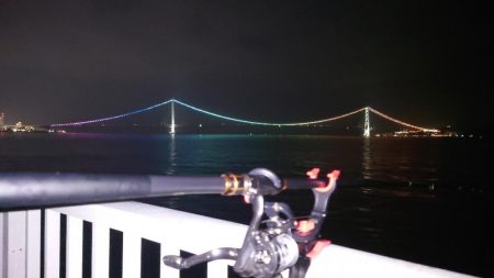 メバル浮き釣り