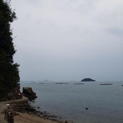 寒鰤ならぬ寒鰡‼️