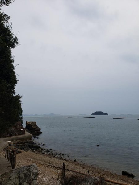 寒鰤ならぬ寒鰡‼️