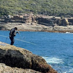 和歌山市江（吉丸渡船）でグレ釣り