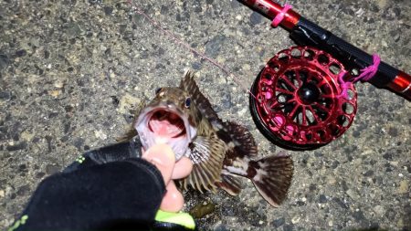 2024/03/17 南港ヘチ釣り釣行