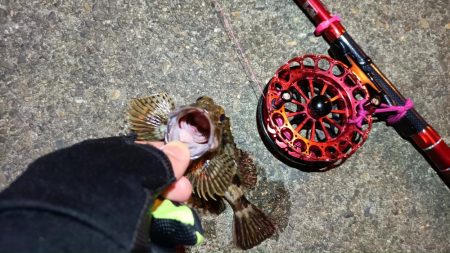 2024/03/18 南港ヘチ釣り釣行