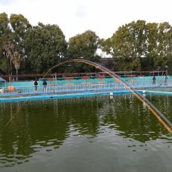 ご近所の釣り堀へ…