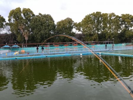 ご近所の釣り堀へ…