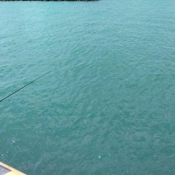 久しぶりの釣行