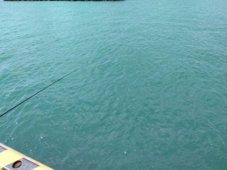 久しぶりの釣行